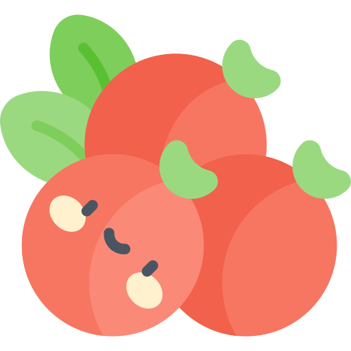 cranberry Kawaii Flat icoon