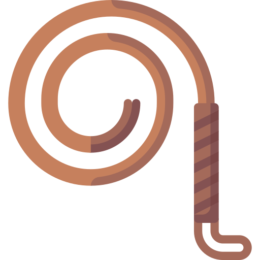 Whip Special Flat icon
