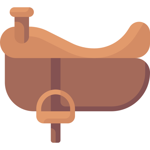 Saddle Special Flat icon
