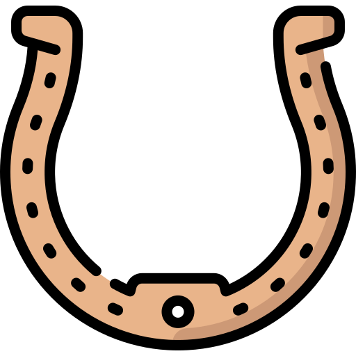 Horseshoe  Special Lineal color icon