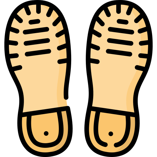 Soles Special Lineal color icon