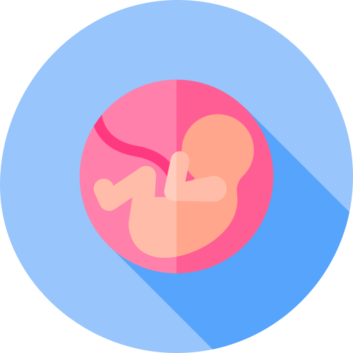 胎児 Flat Circular Flat icon