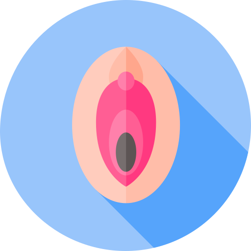 Vagina Flat Circular Flat icon