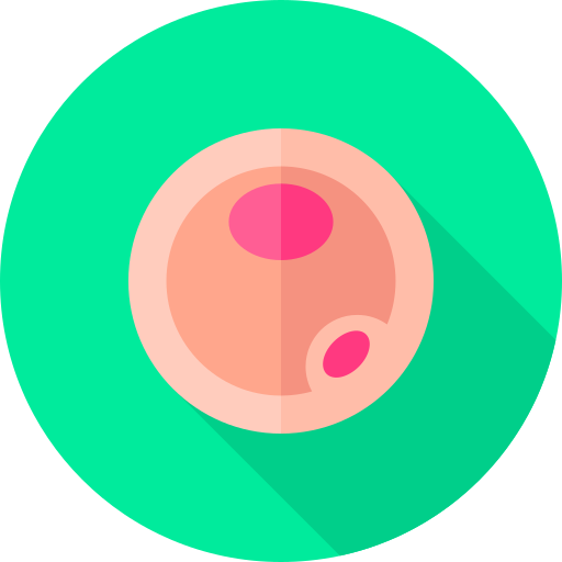 卵子 Flat Circular Flat icon