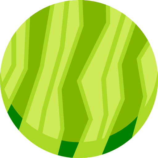 pastèque Special Flat Icône