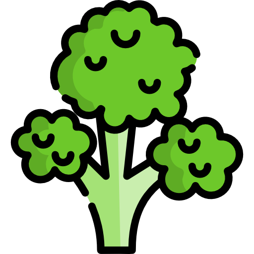 broccoli Special Lineal color icona