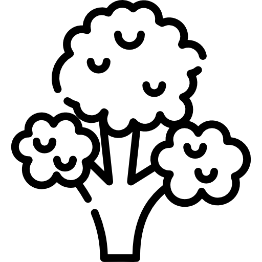 brócoli Special Lineal icono