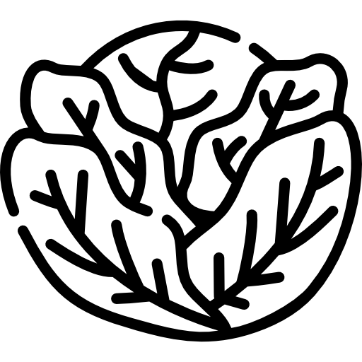 repollo Special Lineal icono