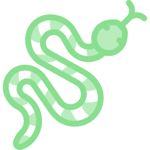 Snake Detailed color Lineal color icon