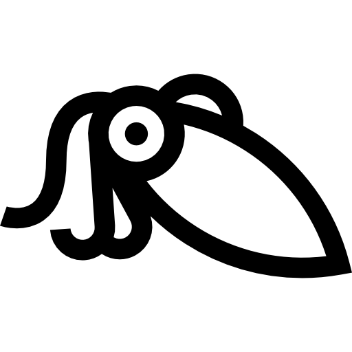 calamar  icono