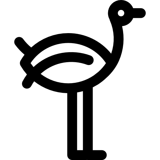 Ostrich  icon