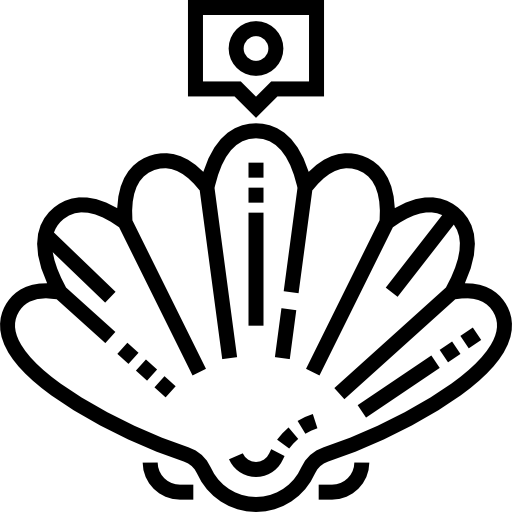 cáscara Detailed Straight Lineal icono