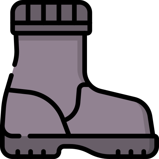 stiefel Special Lineal color icon