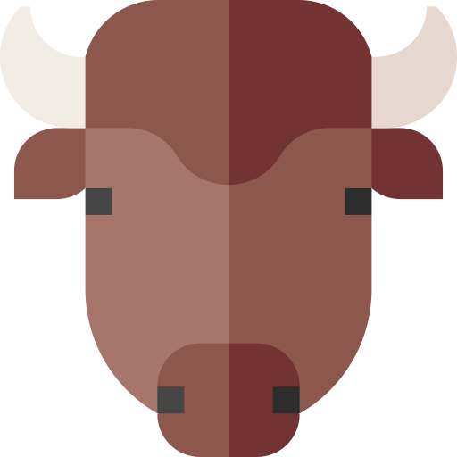 búfalo Basic Straight Flat icono