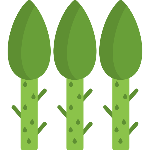asparago Generic Flat icona