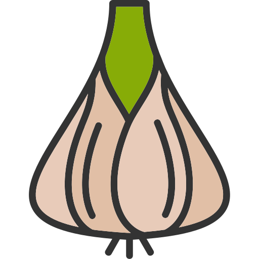 Garlic Generic Outline Color icon