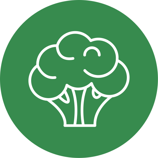broccoli Generic Flat icoon