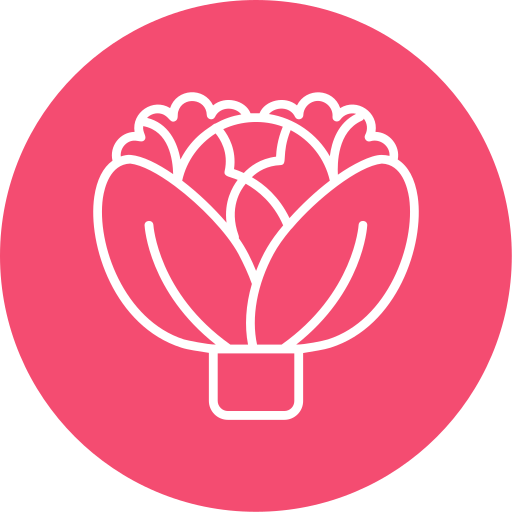Cabbage  Generic Flat icon