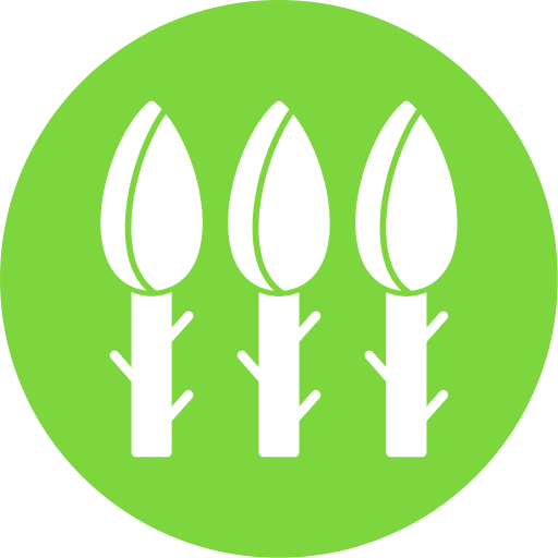 spargel Generic Mixed icon