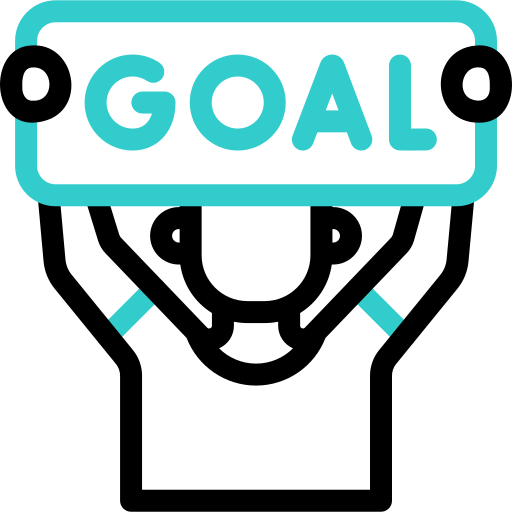 Goal Basic Accent Outline icon