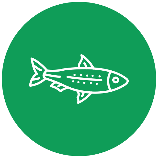 Sardine Generic Flat icon