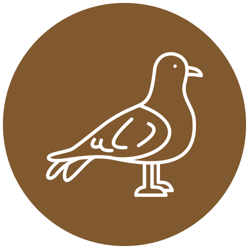 Seagull Generic Flat icon
