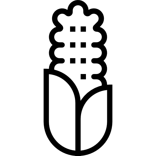 옥수수 mynamepong Lineal icon