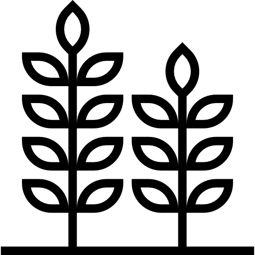 pszenica mynamepong Lineal ikona
