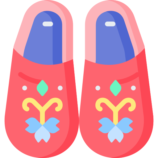 clogs Special Flat icon