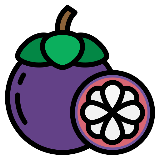 mangostan Generic Outline Color icon