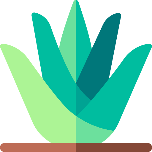 agave Basic Rounded Flat icon