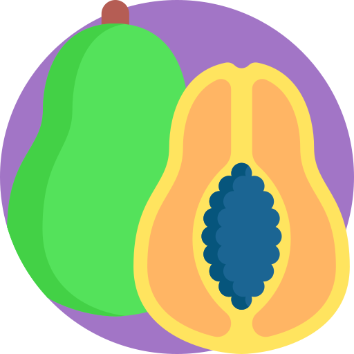 Papaya Detailed Flat Circular Flat icon