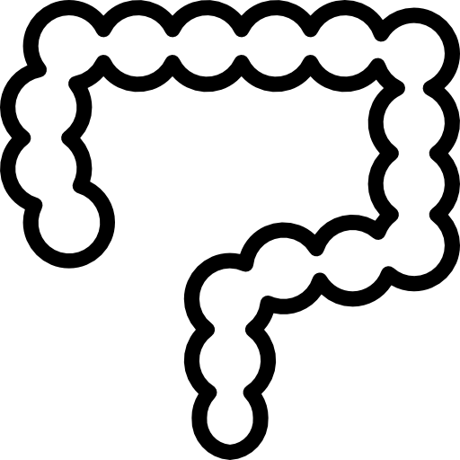 장 PongsakornRed Lineal icon