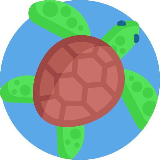 tartaruga Detailed Flat Circular Flat Ícone