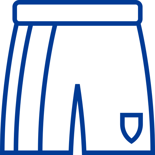 pantalones cortos Detailed bright Lineal icono