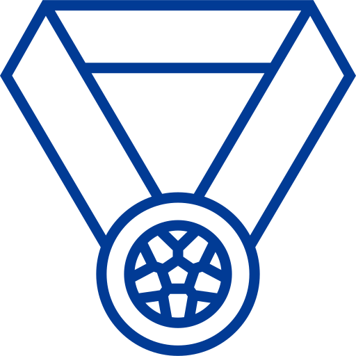 Медаль Detailed bright Lineal иконка