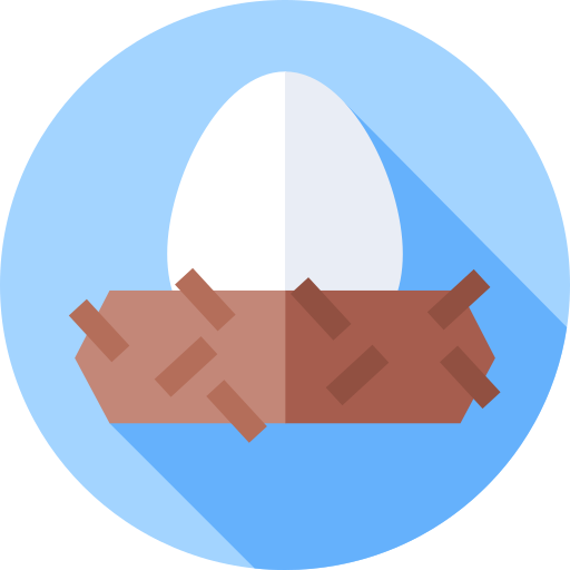 nest Flat Circular Flat icon