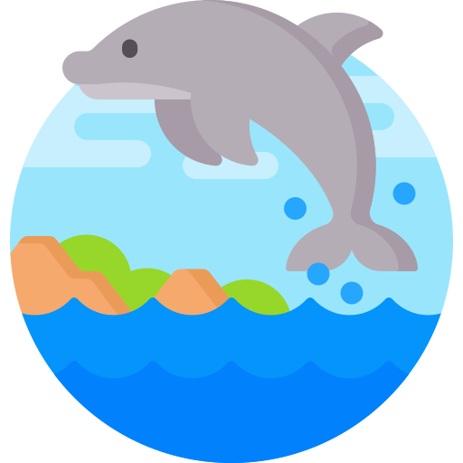 Dolphin Detailed Flat Circular Flat icon