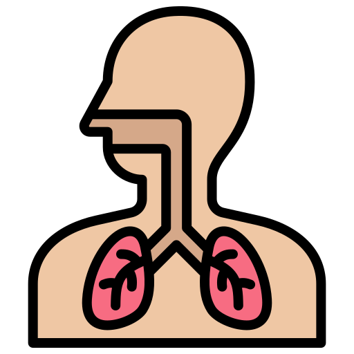 sistema respiratorio Generic Outline Color icono