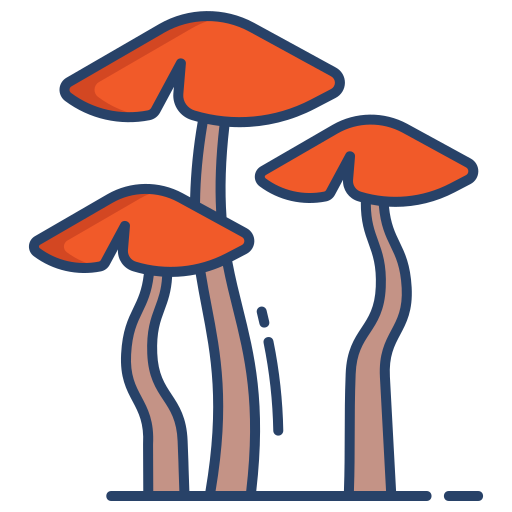 버섯 Generic color outline icon