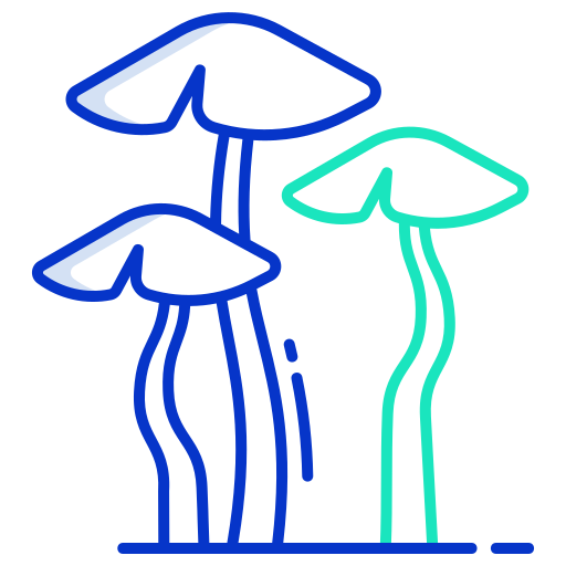 pilz Generic color outline icon