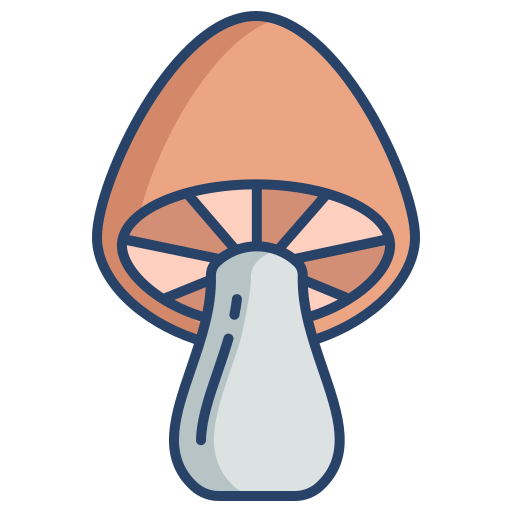 cogumelo Generic color outline Ícone