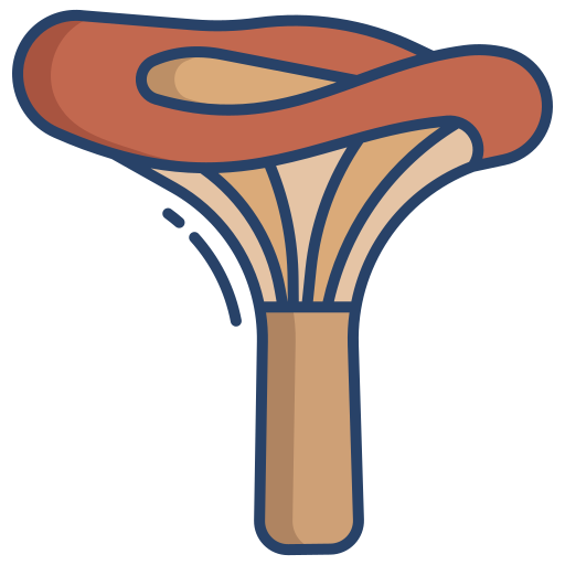 cogumelo Generic color outline Ícone