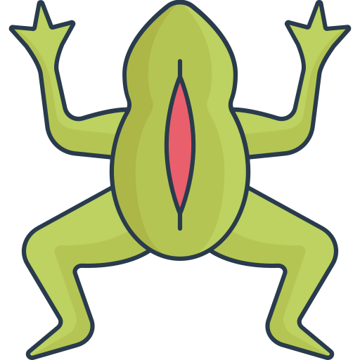 蛙 Generic Outline Color icon