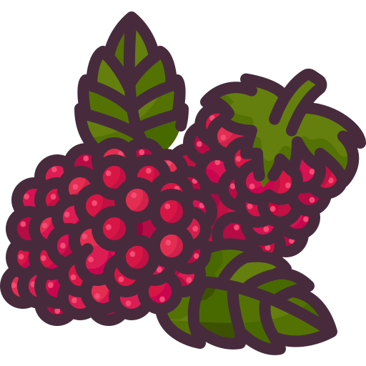 Raspberry Generic Outline Color icon