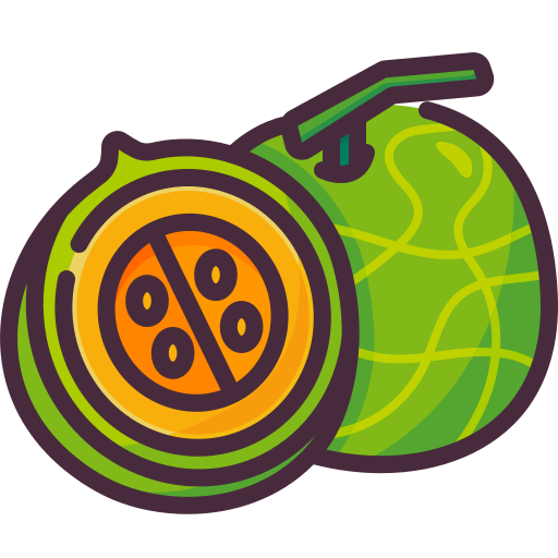 Cantaloupe Generic Outline Color icon