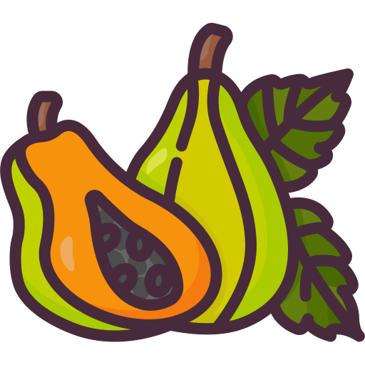 Papaya Generic Outline Color icon