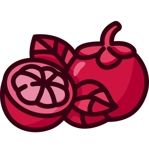 Mangosteen Generic Outline Color icon