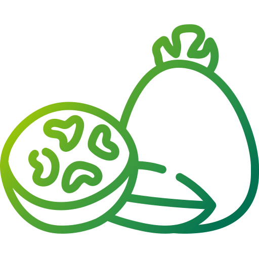 feijoa Generic Gradient icon