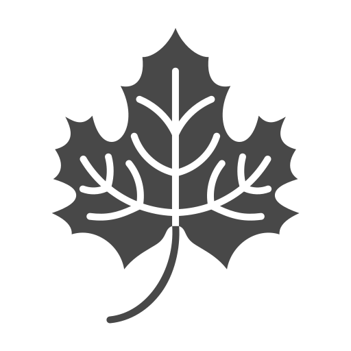 단풍잎 Generic Grey icon
